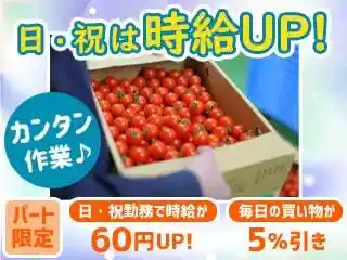 https://arcs-group-ralse.saiyo-job.jp/csaiyo/lizz/m_images/show/02/R208/428/ts/1748842874/image.jpg