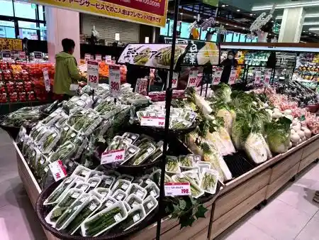 https://beny.saiyo-job.jp/dsaiyo/ynl7/m_images/show/02/B00A/1452/ts/1755822836/image.jpg