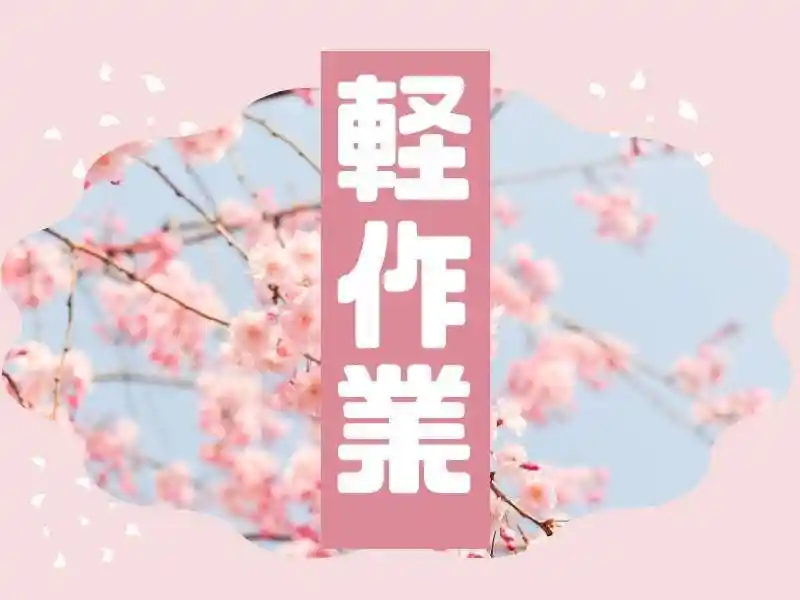 https://bowery.saiyo-job.jp/dsaiyo/bct6/m_images/show/02/B001/79560/ts/1755583731/image.jpg