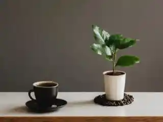 https://field-serve.saiyo-job.jp/dsaiyo/7rrj/m_images/show/02/B002/8232/ts/1756349496/image.jpg
