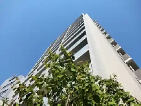 https://hitomgr.jp/dsaiyo/1r7t/m_images/show/02/A004/388/ts/1687752681/image.jpg