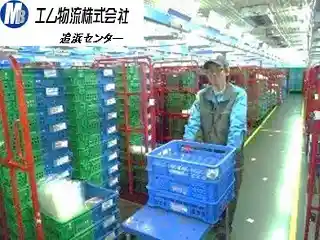 https://hitomgr.jp/dsaiyo/m8ca/m_images/show/02/ST0028/567/ts/1734490471/image.jpg