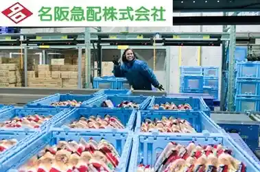 https://hitomgr.jp/dsaiyo/m8ca/m_images/show/02/ST0088/827/ts/1733303173/image.jpg