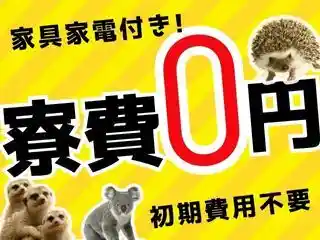 https://insightace.saiyo-job.jp/dsaiyo/y51n/m_images/show/02/B001/122177/ts/1756349712/image.jpg