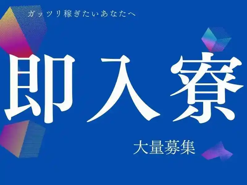 https://insightace.saiyo-job.jp/dsaiyo/y51n/m_images/show/02/B001/123879/ts/1756448212/image.jpg
