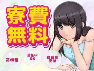https://insightace.saiyo-job.jp/dsaiyo/y51n/m_images/show/02/B001/124927/ts/1756449100/image.jpg
