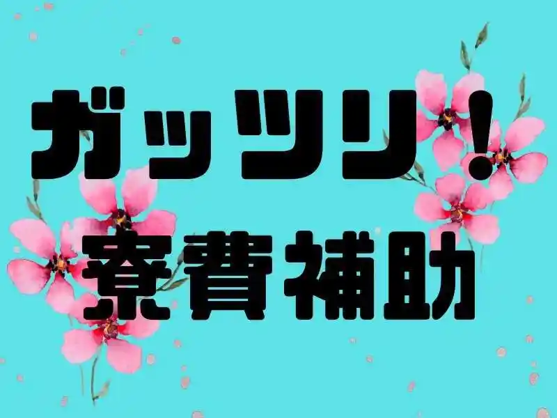 https://insightace.saiyo-job.jp/dsaiyo/y51n/m_images/show/02/B001/98696/ts/1753409884/image.jpg