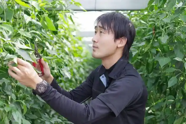 https://kagojob.saiyo-job.jp/csaiyo/cmi4/m_images/show/02/b177/394/ts/1677289956/image.jpg