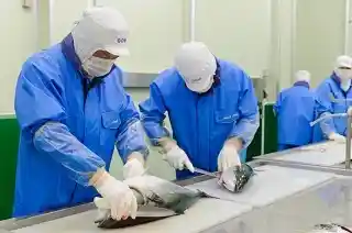 https://kagojob.saiyo-job.jp/csaiyo/cmi4/m_images/show/02/b719/3024/ts/1745478731/image.jpg