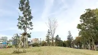 https://kagojob.saiyo-job.jp/csaiyo/cmi4/m_images/show/02/b780/2381/ts/1706758551/image.jpg