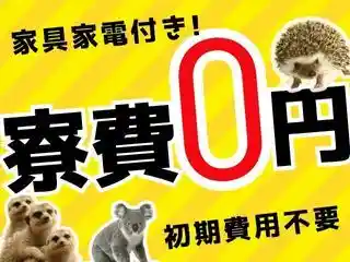 https://klink.saiyo-job.jp/dsaiyo/xac6/m_images/show/02/B001/176003/ts/1756704354/image.jpg