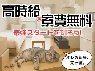 https://lifeisart.saiyo-job.jp/csaiyo/jq92/m_images/show/02/B001/124725/ts/1756439257/image.jpg