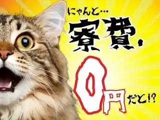 https://lifeisart.saiyo-job.jp/csaiyo/jq92/m_images/show/02/B001/126067/ts/1756439718/image.jpg