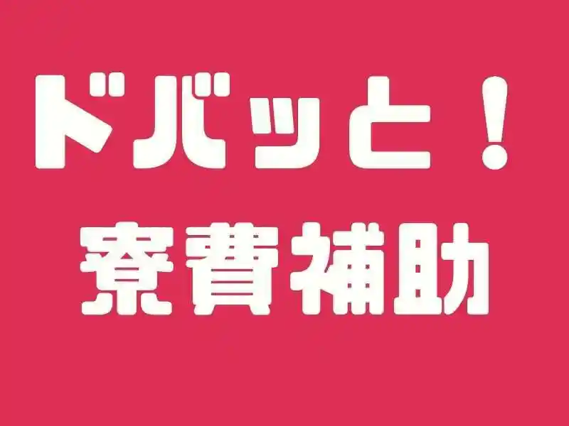 https://lifeisart.saiyo-job.jp/csaiyo/jq92/m_images/show/02/B001/128922/ts/1756440860/image.jpg