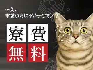 https://lifeisart.saiyo-job.jp/csaiyo/jq92/m_images/show/02/B001/132893/ts/1756443788/image.jpg