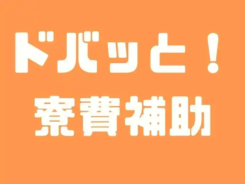 https://lifeisart.saiyo-job.jp/csaiyo/jq92/m_images/show/02/B001/133354/ts/1756444152/image.jpg