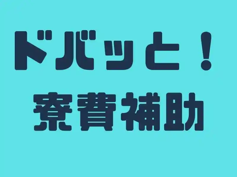 https://lifeisart.saiyo-job.jp/csaiyo/jq92/m_images/show/02/B001/135779/ts/1756445967/image.jpg