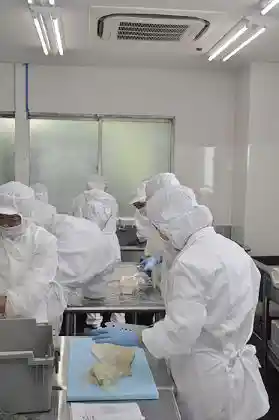https://maruei-hd.saiyo-job.jp/dsaiyo/bkmg/m_images/show/02/CKN02/110/ts/1741960092/image.jpg
