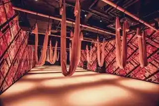 https://megalos.saiyo-job.jp/dsaiyo/13y9/m_images/show/02/n002/1166/ts/1708051619/image.jpg
