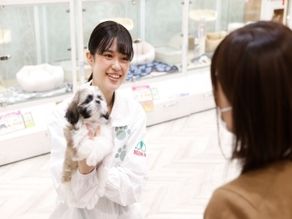 https://petskojima.saiyo-job.jp/csaiyo/6r9j/m_images/show/02/27/18/ts/1730437227/image.jpg