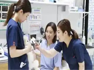 https://petskojima.saiyo-job.jp/csaiyo/6r9j/m_images/show/02/961/161/ts/1742882012/image.jpg