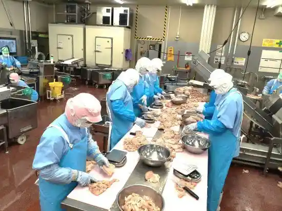 https://prifoods.saiyo-job.jp/dsaiyo/iigc/m_images/show/02/Gmidori/537/ts/1750381076/image.jpg