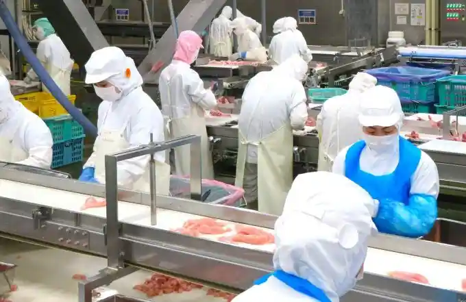 https://prifoods.saiyo-job.jp/dsaiyo/iigc/m_images/show/02/Shosoya/514/ts/1750128598/image.jpg