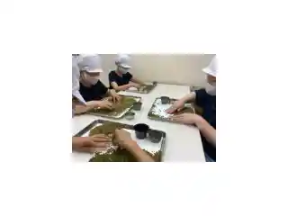 https://wakayama.saiyo-job.jp/dsaiyo/v1kl/m_images/show/02/b0337/1357/ts/1745547209/image.jpg
